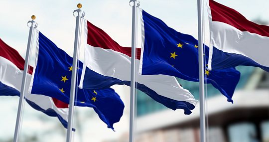 NL en EU vlag Vademecum.jpeg